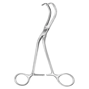LAMBERT KAY, klemma, 20 cm długa część szczękowa